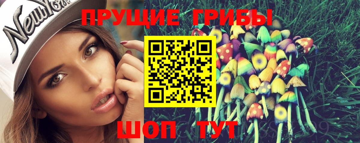 Энгельс  Псилоцибиновые грибы Psilocybine cubensis  Вход с VPN  Галлюциногенные грибы Cubensis 